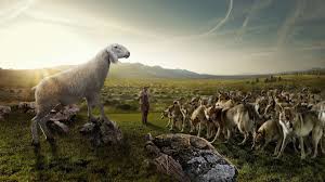 Sent Out By The Good Shepherd As Sheep Among Wolves, 14th Friday, July ...